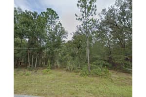 Lot 2 Ne 1st Street Williston, FL 32696 - MLS#A11877921