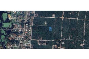 233 Caswell Lane Lake Placid, FL 33852 - MLS#A11879630