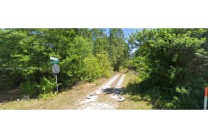 233 Caswell Lane Lake Placid, FL 33852 - MLS#A11879630