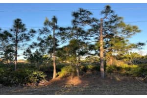 676 Sabrina Ct Lehigh Acres, FL 33972 - MLS#A11880211