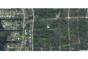 233 + 232 Caswell + Colleen Lane Lake Placid, FL 33852 - MLS#A11880373