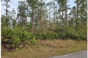 1314 Cleveland Ave Lehigh Acres, FL 33972 Sold 10/21/25