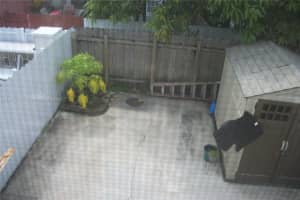 3900 W 8th Ln 16, Hialeah