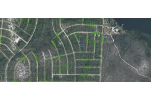 729 Suffolk Street Lake Placid, FL 33852 - MLS#A11881668