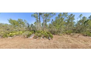 729 Suffolk Street Lake Placid, FL 33852 - MLS#A11881668