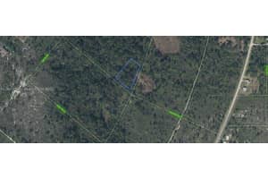 MLS# A11881752, Lake Placid, Florida 33852