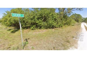 216 Silver Ct Lake Placid, FL 33852 - MLS#A11882629