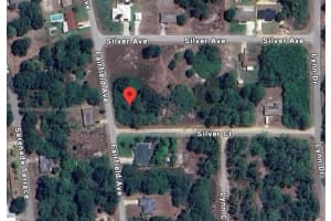 216 Silver Ct Lake Placid, FL 33852 - MLS#A11882629