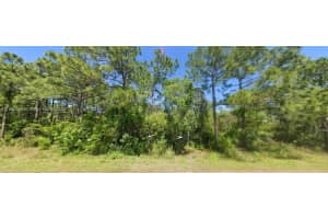 110 Sentimental Ct Lake Placid, FL 33852 - MLS#A11882639