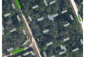 1131 Butternut Rd Lake Placid, FL 33852 - MLS#A11885318