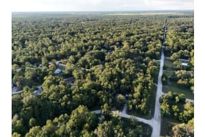 0 Ne 2nd Pl Williston, FL 32696 - MLS#A11885805