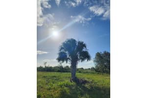 18717 Nw 258 St Okeechobee, FL 34972 - MLS#A11886001