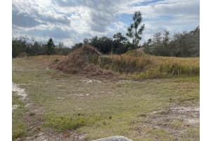 531 St Johns Ct, Kissimmee, Fl 34759 Poinciana, FL 34759 - MLS#A11886061