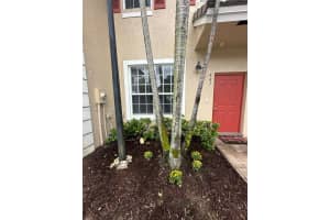 661 Nw 42nd Ave Plantation, FL 33317 - MLS#A11888919