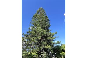 4231 Nw 27th St N/a Lauderhill, FL 33313 - MLS#A11889690