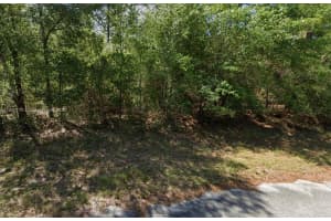 207 Circle Dunnellon, FL 34431 - MLS#A11890178