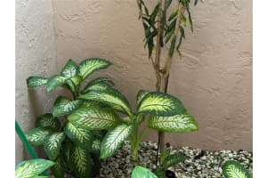 8204 Summerbreeze Ln Boca Raton, FL 33496 - MLS#A11891974