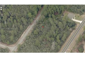 9036-1175-07 0 Ocala, FL 32179 - MLS#A11892293