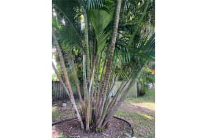 228 Se Park St 228 Dania Beach, FL 33004 - MLS#A11892554