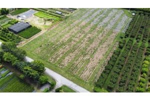 224xx Sw 252nd St-lease Only Homestead, FL 33031 Sold 02/01/26