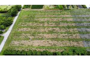 224xx Sw 252nd St-lease Only Homestead, FL 33031 Sold 02/01/26