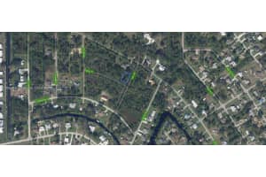 1431 Stall Street Lake Placid, FL 33852 - MLS#A11894181