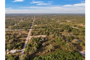 1310 Clayton Ave Lehigh Acres, FL 33972 - MLS#A11894379