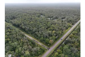 10615 Ruth Ave Other, FL 32145 Sold 12/15/25