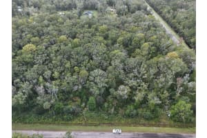 10615 Ruth Ave Other, FL 32145 Sold 12/15/25