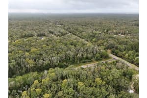 10615 Ruth Ave Other, FL 32145 Sold 12/15/25