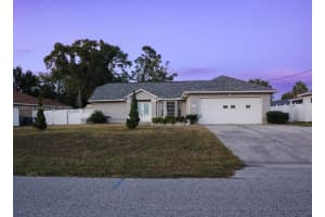 11194 Murraysville Dr, Spring Hill, FL 34609, - MLS#A11895129