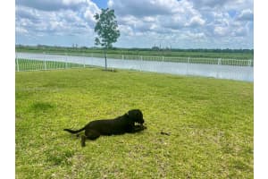 974 Bent Creek Dr Fort Pierce, FL 34947 - MLS#A11895576