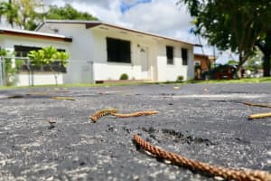 535 Harem Ave, Opa-locka, FL 33054, Sold 04/12/26