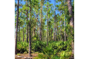  3706 Leeland Heights Blvd E Lehigh Acres, FL 33936 - MLS#A11897445