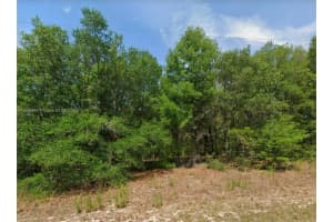 11451 N Clare, Citrus Springs