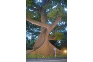 1871 Nw S River Dr 1505 Miami, FL 33125 - MLS#A11898369