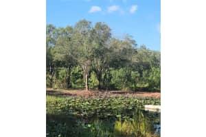 13012 Ne 14th Ave Okeechobee, FL 34972 - MLS#A11899377