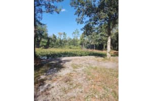 13012 Ne 14th Ave Okeechobee, FL 34972 - MLS#A11899377