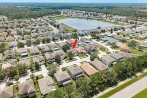 30544 Latourette Other, FL 33545 - MLS#A11899569