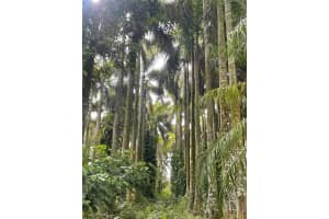 15200 Sw 197th Avenue Miami, FL 33187 - MLS#A11901932