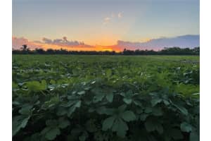 15200 Sw 197th Avenue Miami, FL 33187 - MLS#A11901932