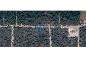 2215 Flower Terrace Sebring, FL 33875 - MLS#A11903425