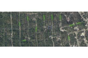 252 Fascination Drive Lake Placid, FL 33852 - MLS#A11904026