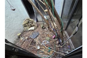 2211 Nw 55th Ter Lauderhill, FL 33313 - MLS#A11904461