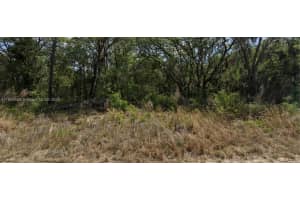 11 Hickory Track Drive Ocala, FL 34472 - MLS#A11905309