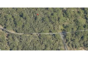 Tbd Locust Loop Radial Ocala, FL 34472 - MLS#A11905530