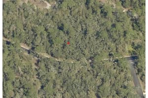 Tbd Locust Loop Radial Ocala, FL 34472 - MLS#A11905573