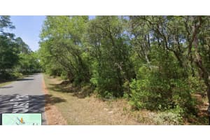 Tbd Locust Loop Radial Ocala, FL 34472 - MLS#A11905573