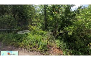 Tbd Locust Place Ocala, FL 34472 - MLS#A11905596