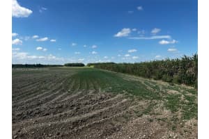 226xx Sw 220 Av Homestead, FL 33170 - MLS#A11905975